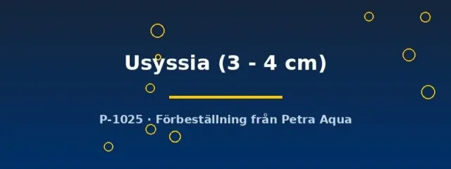 Näsets Ciklidhobby Aulonocara Usyssia påfågelciklid akvariefisk 3–4 cm