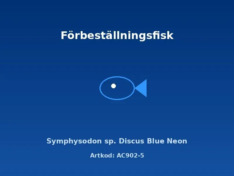 Näsets Ciklidhobby Discus Blue Neon 9 cm diskusfisk