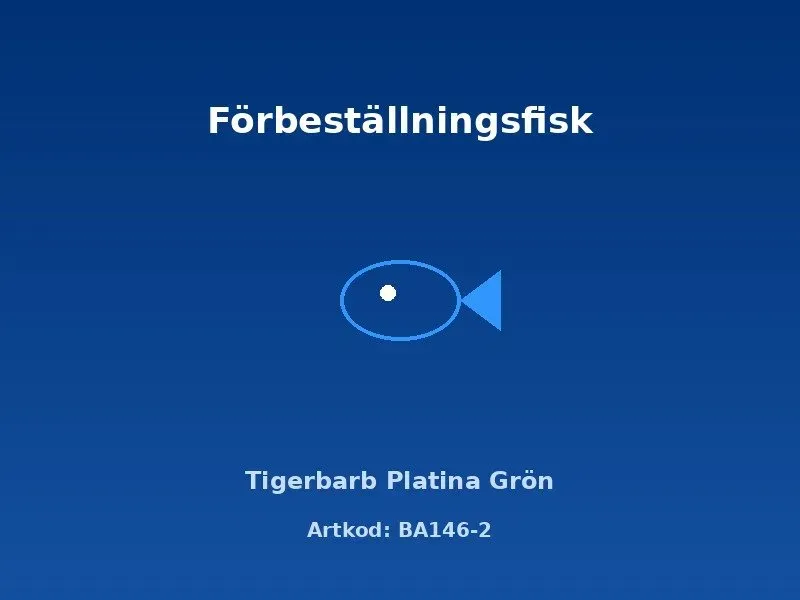 Näsets Ciklidhobby Tigerbarb Platina Grön akvariefisk 3–3,5 cm stim