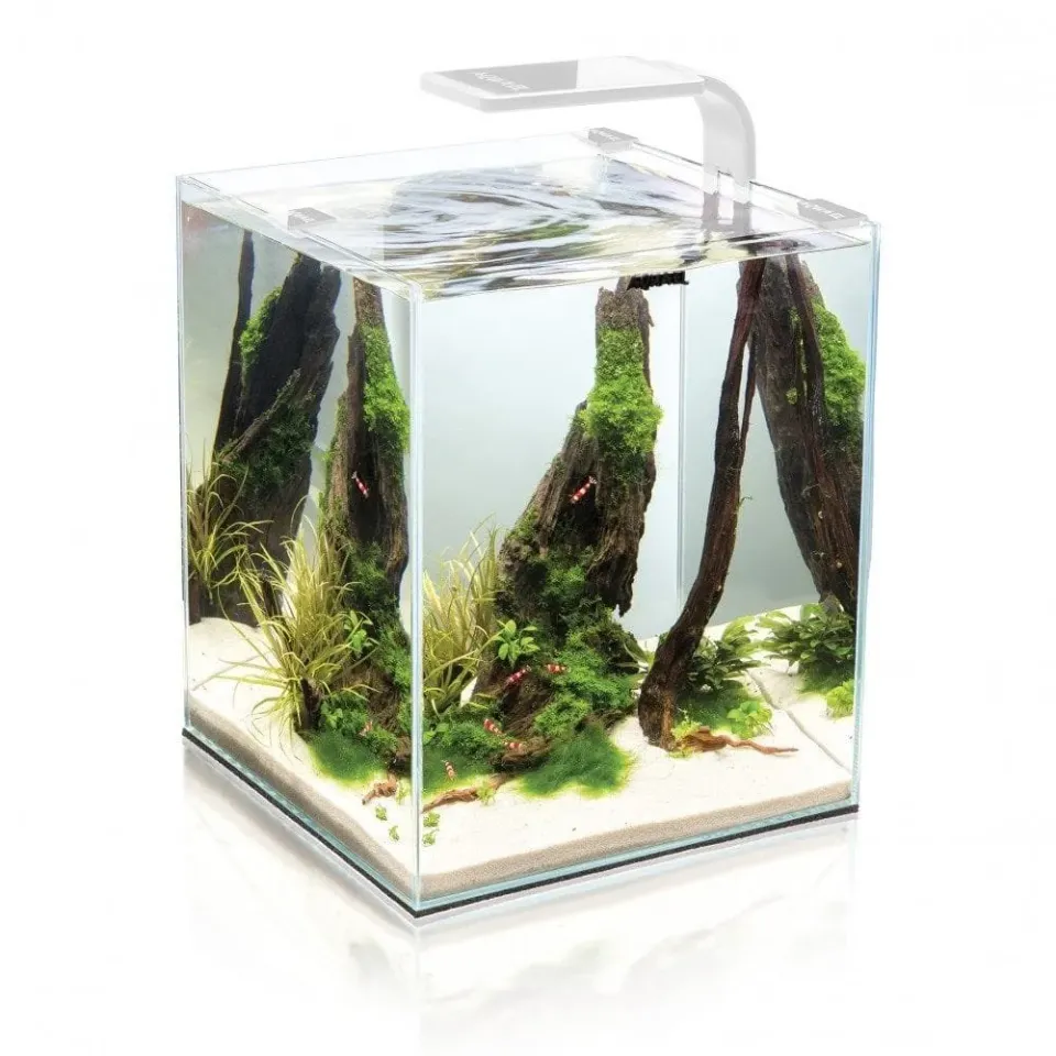 Näsets Ciklidhobby Nano Day&Night Set akvarium 30L LED