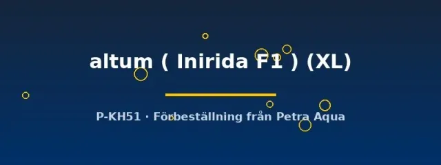 Näsets Ciklidhobby Altum Inirida F1 akvariefisk XL högväxt