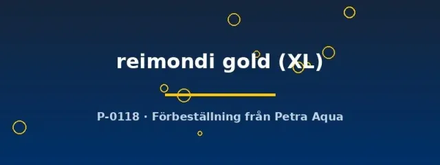 Näsets Ciklidhobby Aulonocara reimondi gold ciklid XL