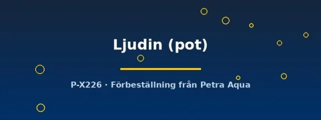Echinodorus Ljudin svärdsplanta kruka stor