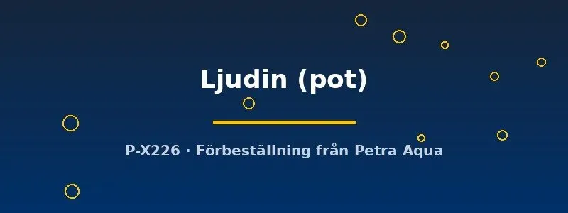 Echinodorus Ljudin svärdsplanta kruka stor