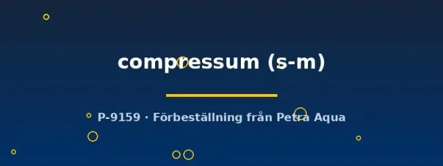 Coenobita compressum eremitkräfta S–M
