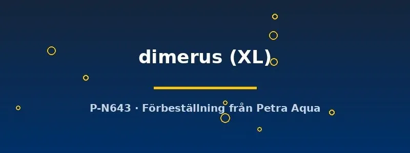 Näsets Ciklidhobby Cichlasoma dimerus XL ciklid stor