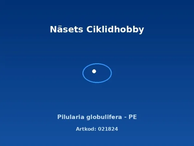Näsets Ciklidhobby Pilularia globulifera växt PE