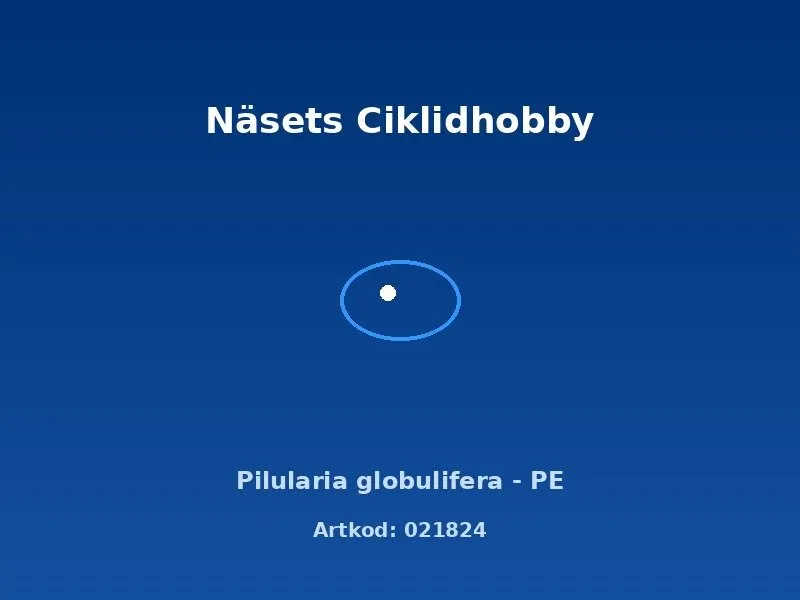 Näsets Ciklidhobby Pilularia globulifera växt PE