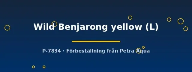 Näsets Ciklidhobby Betta Wild Benjarong kampfisk hona L gul