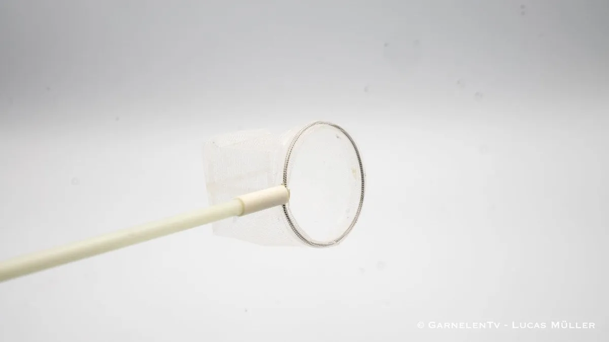 Garnelen TV Proffs räkhåv fiberglas 35 cm fint nät