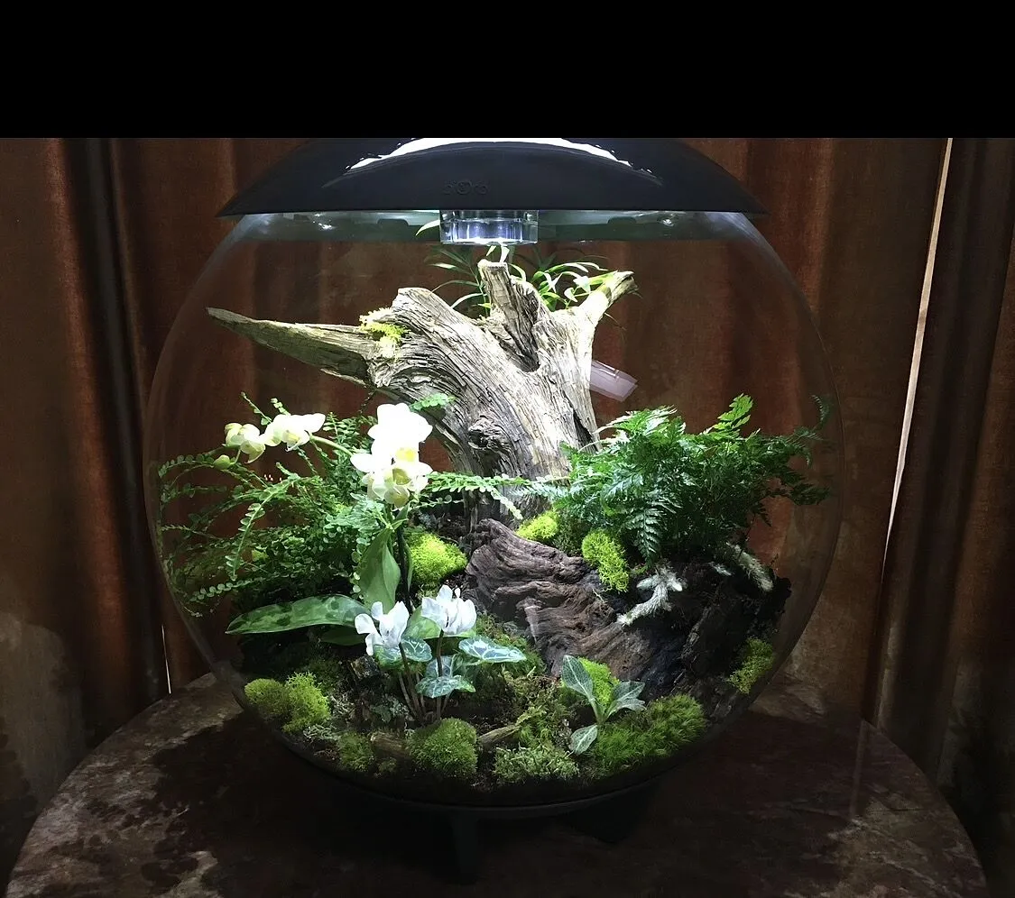 biOrb Air 60 terrarium 60 liter grå automatisk dimma