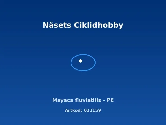 Mayaca fluviatilis PE akvarieväxt mjuk stängelväxt
