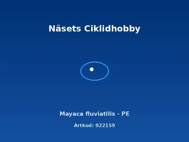 Mayaca fluviatilis PE akvarieväxt mjuk stängelväxt