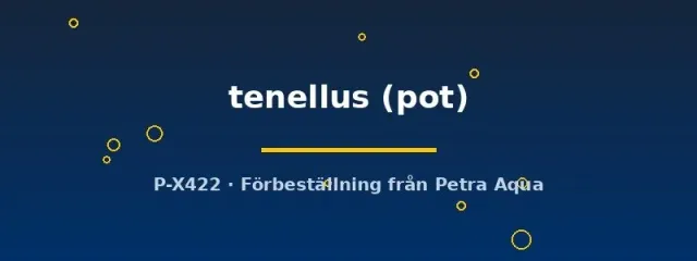 Näsets Ciklidhobby Echinodorus tenellus akvarieväxt potta matta