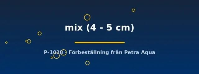 Näsets Ciklidhobby Aulonocara mix malawiciklid 4–5 cm färgmix