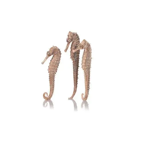 biOrb Seahorse Set akvariedekoration natural 3-pack giftfri