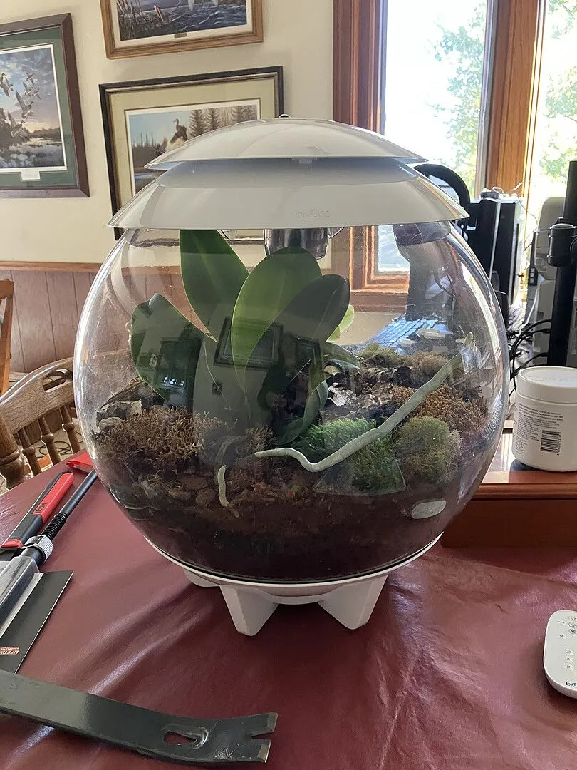 biOrb Air 30 terrarium 30 liter vitt automatdimma