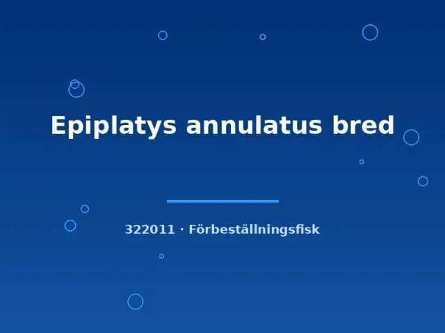 Näsets Ciklidhobby Epiplatys annulatus akvariefisk sm fredlig