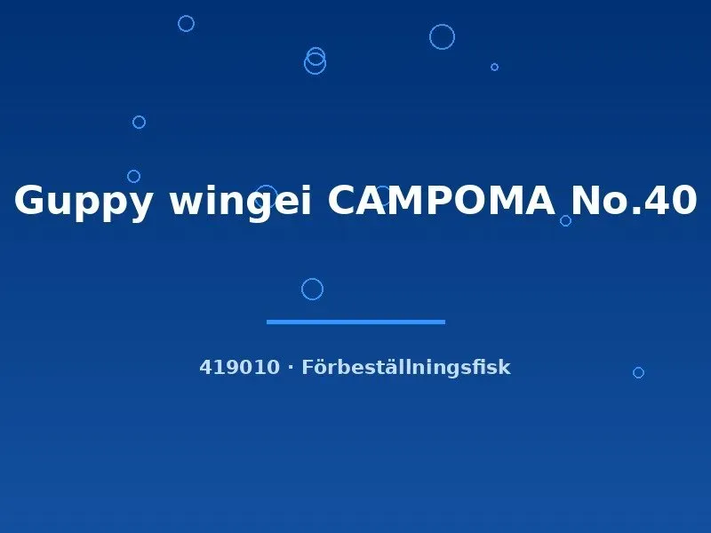 Näsets Ciklidhobby Guppy wingei Campoma No.40 guppy md