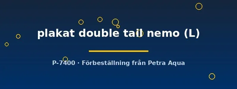 Betta Plakat Double Tail Nemo kampfisk hona L