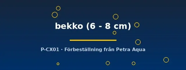Näsets Ciklidhobby Koi bekko dammfisk 6–8 cm