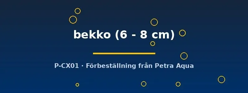 Näsets Ciklidhobby Koi bekko dammfisk 6–8 cm