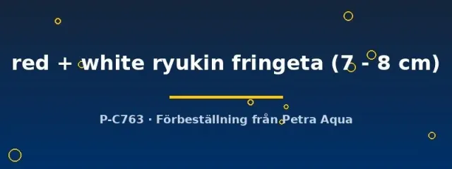Carassius Ryukin röd-vit slöjstjärt 7–8 cm