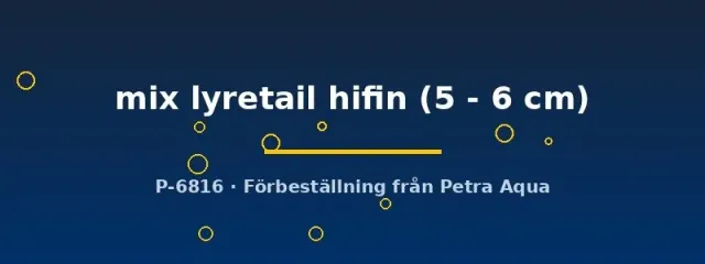 Xiphophorus Swordtail Lyretail svärdbärare 5–6 cm