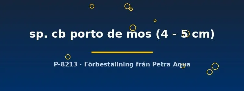 Näsets L333 Hypancistrus mal 4–5 cm Porto de Mos