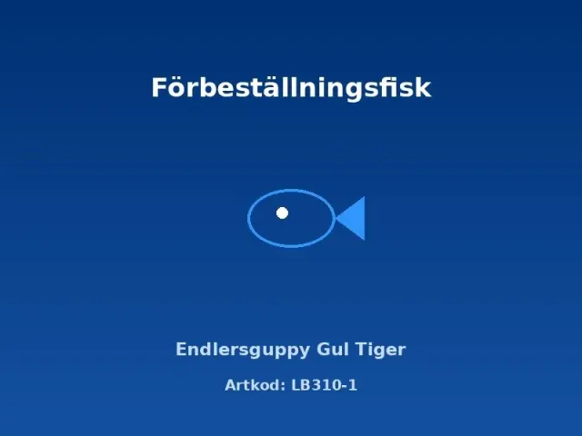 Näsets Ciklidhobby Endlersguppy Gul Tiger akvariefisk 2–2,5 cm