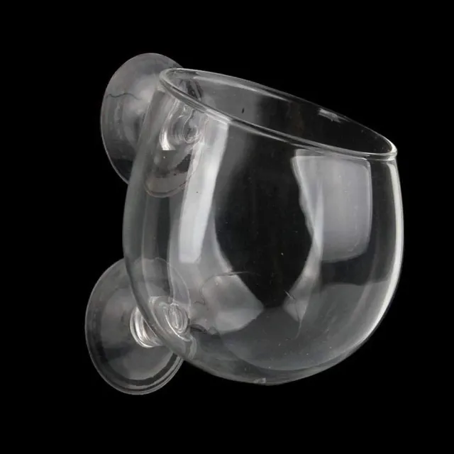 Garnelen TV glaskopp växtskål akvarium 7 cm sugkopp
