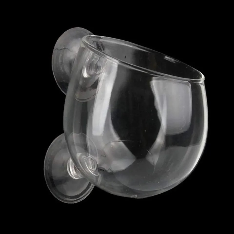 Garnelen TV glaskopp växtskål akvarium 7 cm sugkopp