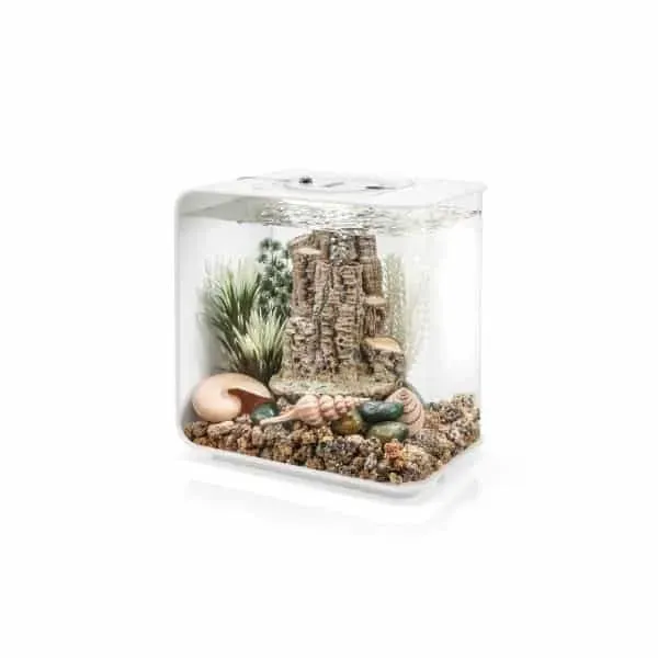 biOrb Decor Set Forest Rhythm akvariedekoration komplett set