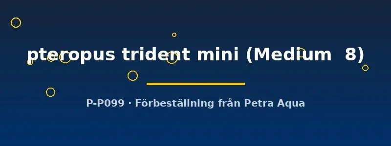 Microsorum trident mini akvarieväxt Medium8