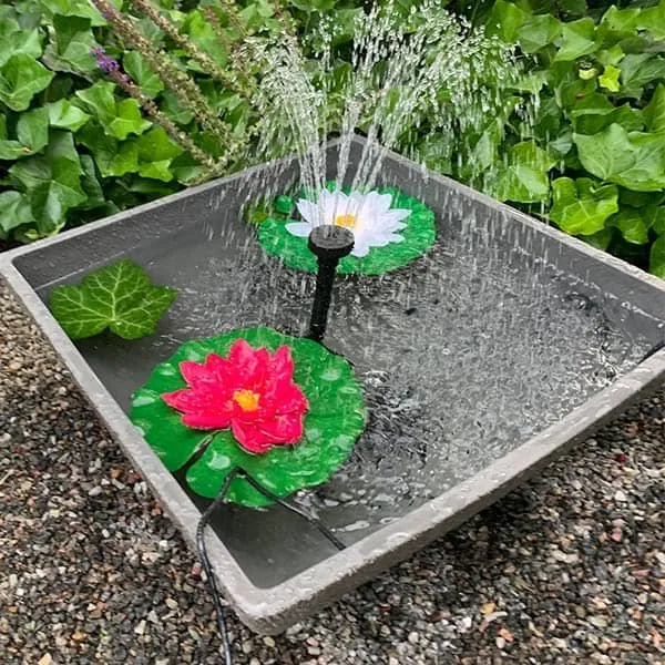 Näsets Ciklidhobby Minidamm mörkgrå 75x75x35 cm damm