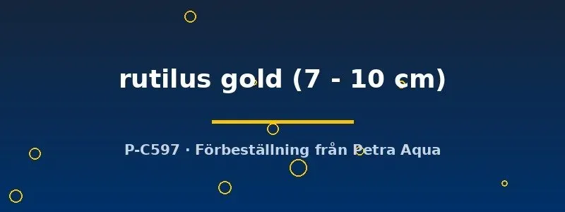 Näsets Ciklidhobby Rutilus rutilus gold mört 7–10 cm stim