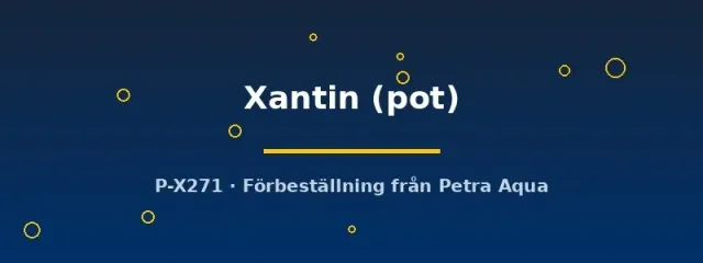Näsets Ciklidhobby Echinodorus Xantin akvarieväxt pot