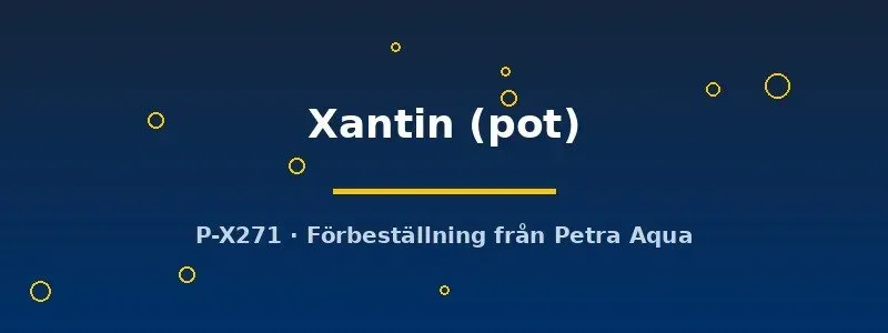 Näsets Ciklidhobby Echinodorus Xantin akvarieväxt pot
