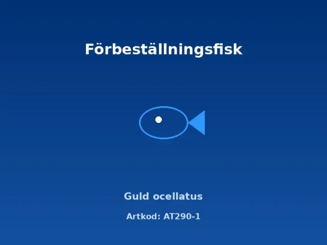 Näsets Ciklidhobby Guld Ocellatus snäckcichlid 2,5–3 cm