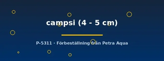 Näsets Chilatherina campsi regnbågsfisk 4–5 cm