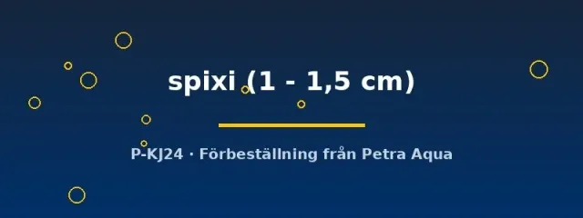 Asolene spixi snäcka 1–1,5 cm algätare