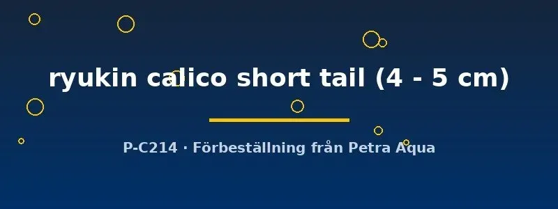 Näsets Ryukin Calico guldfisk 4–5 cm kort stjärt