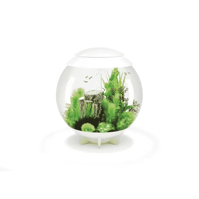 biOrb HALO 60 MCR akvarium 60 liter vit flerfärgsljus