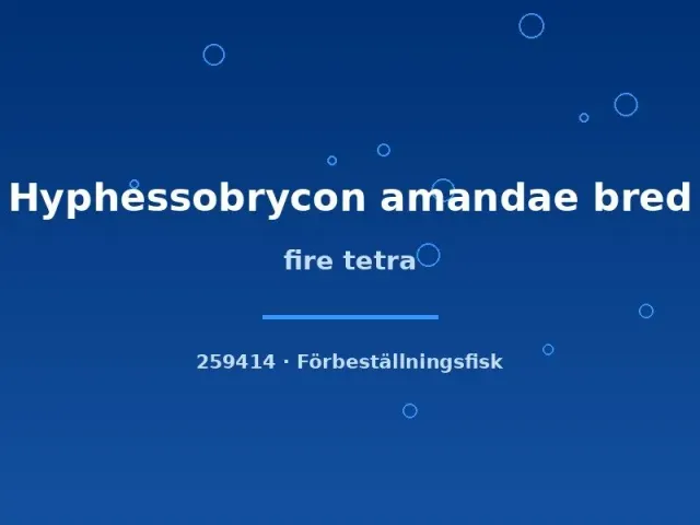 Näsets Ciklidhobby Amanda Fire Tetra tetrafisk md-lg