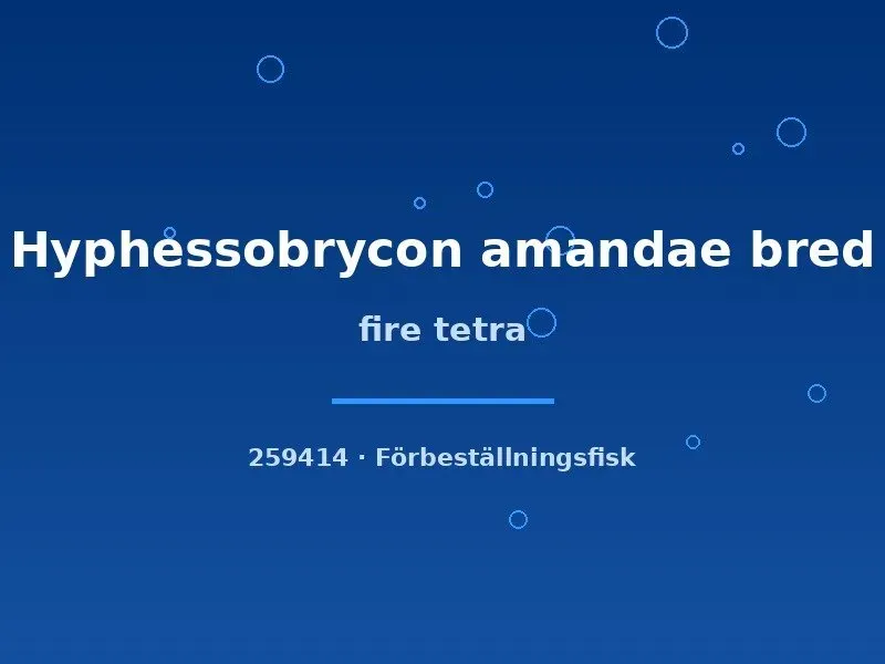 Näsets Ciklidhobby Amanda Fire Tetra tetrafisk md-lg
