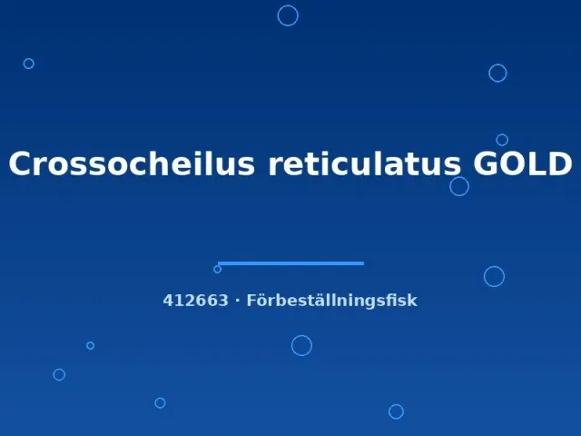 Näsets Ciklidhobby Crossocheilus reticulatus GOLD algätare 4–5 cm