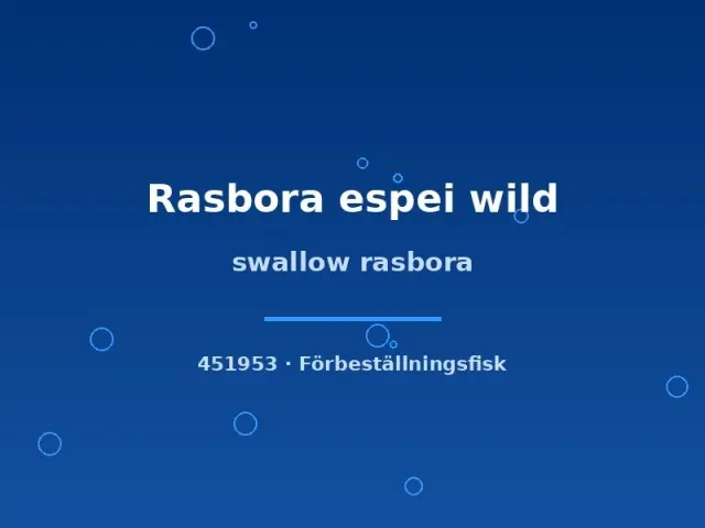 Näsets Rasbora espei Swallow akvariefisk md-lg vild