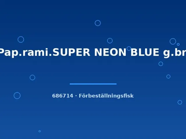 Näsets Ciklidhobby Ramirezi Super Neon Blue fjärilsciklid 4–5 cm