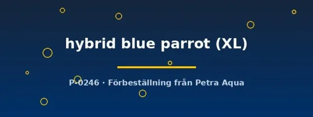 Näsets Ciklidhobby Cichlasoma hybrid blue parrot papegojfisk XL