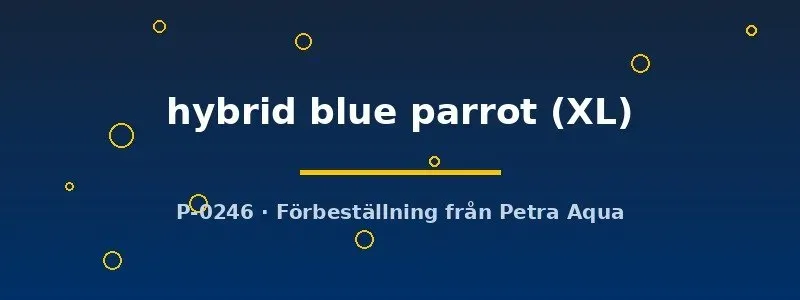 Näsets Ciklidhobby Cichlasoma hybrid blue parrot papegojfisk XL